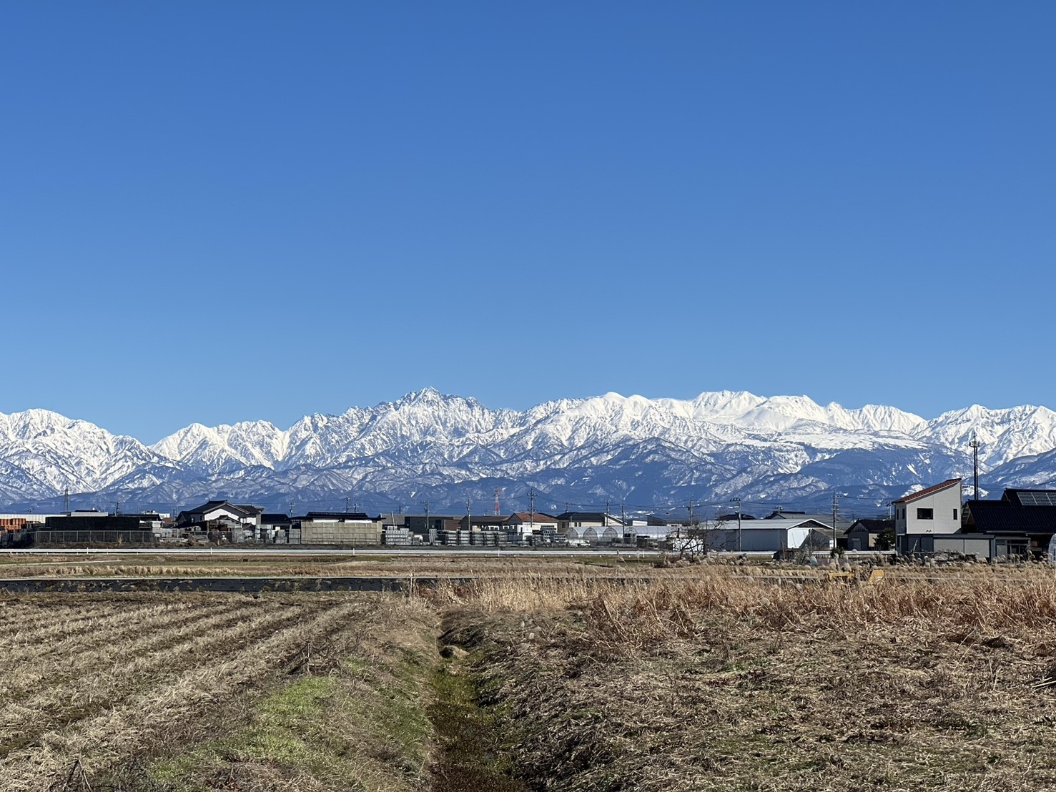 刈り入れ後の田と立山連峰
